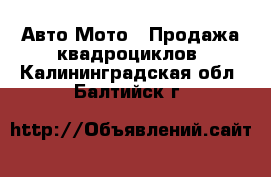 Авто Мото - Продажа квадроциклов. Калининградская обл.,Балтийск г.